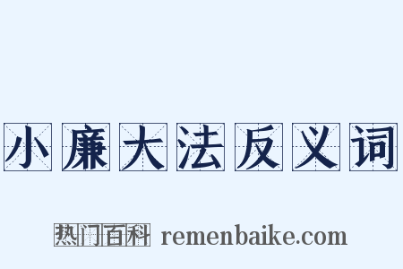 小廉大法反义词是什么意思的图片